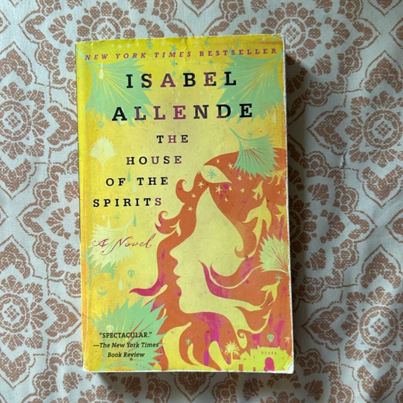 The House of the Spirits