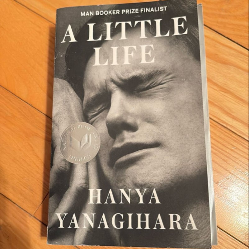 A Little Life