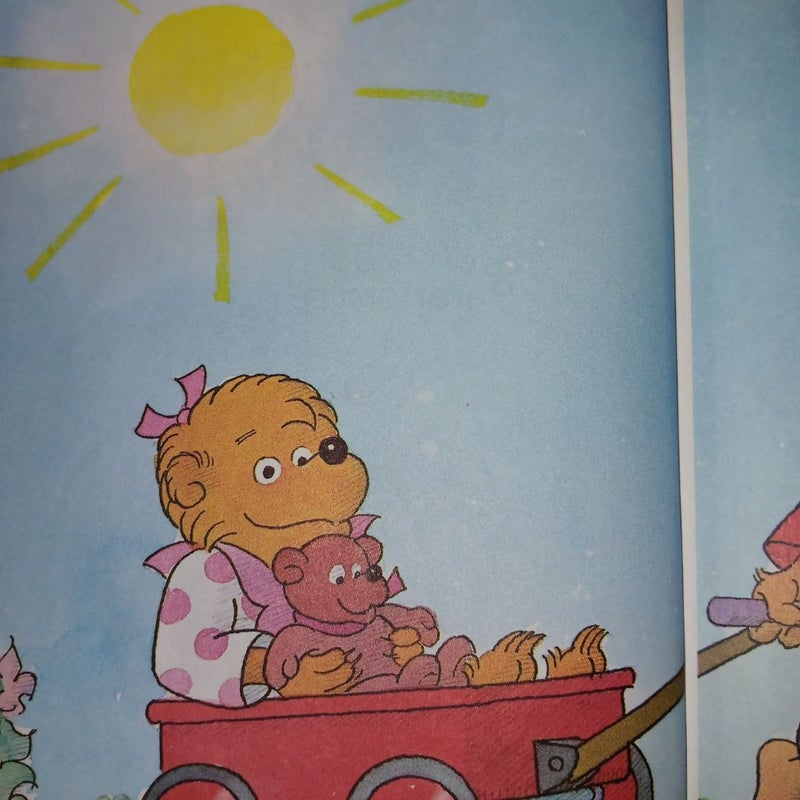 The Berenstain Bears Say Goodnight