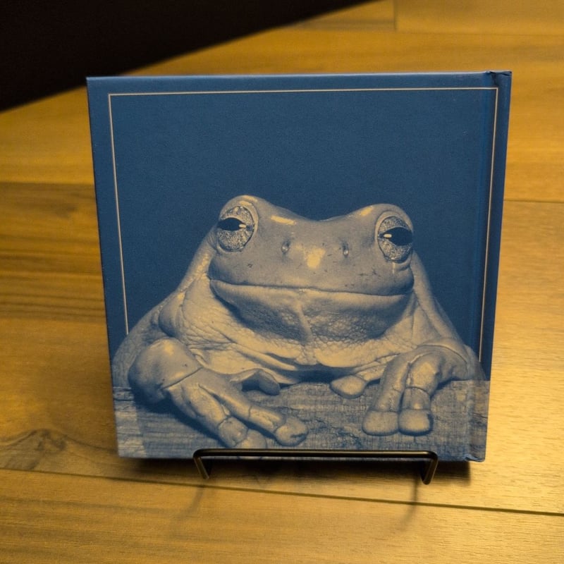 The Blue Day Book