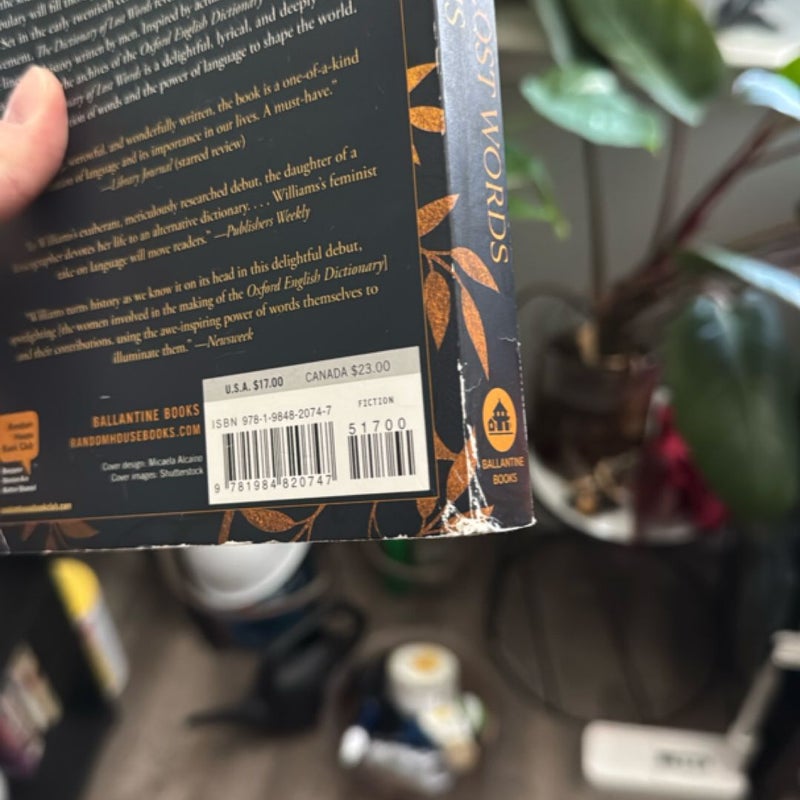 The Dictionary of Lost Words