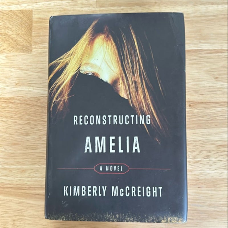 Reconstructing Amelia