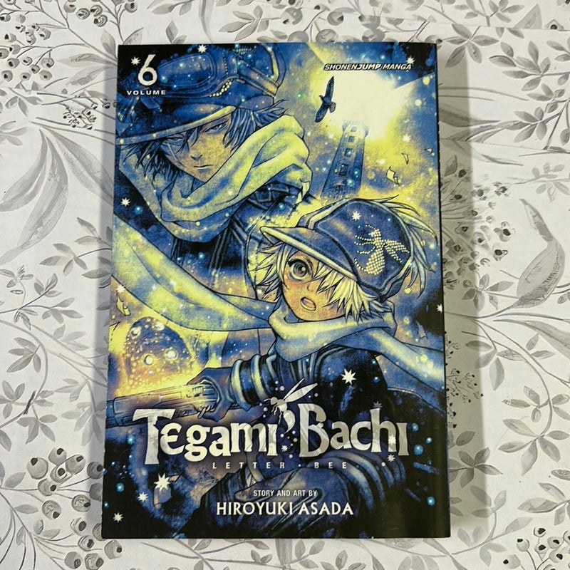 Tegami Bachi, Vol. 6