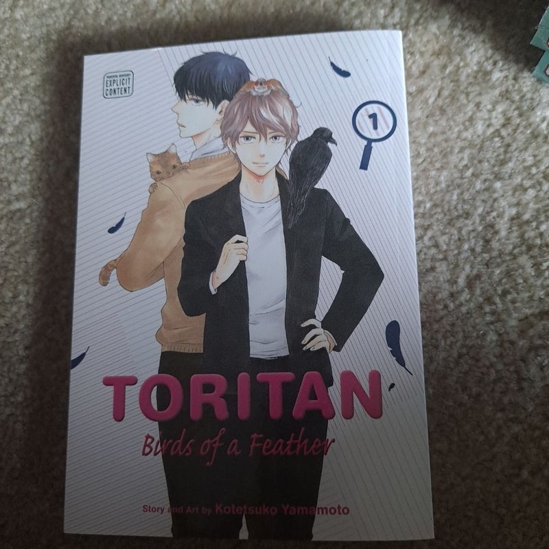 Toritan: Birds of a Feather, Vol. 1