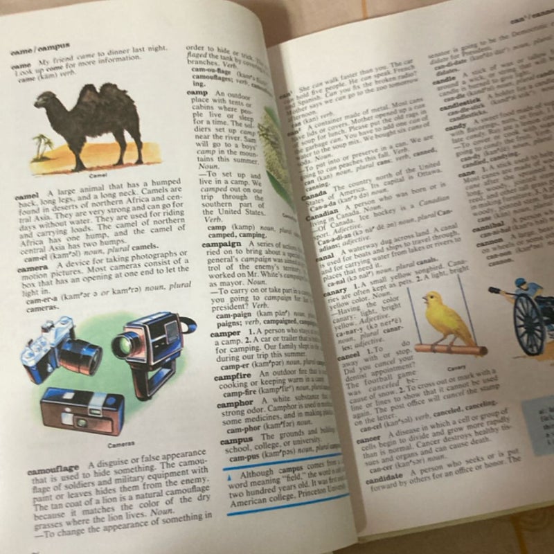 Macmillan Dictionary for Children
