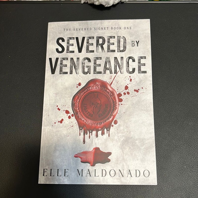 Severed by vengeance (probably smut edition)