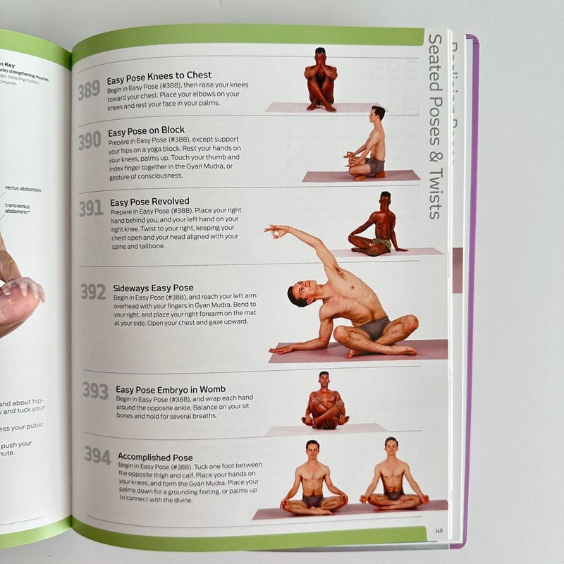 Anatomy of Fitness 501 Yoga Exercises