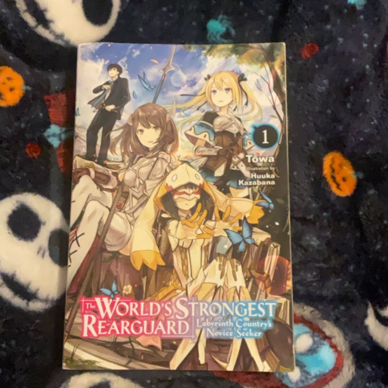 The World's Strongest Rearguard: Labyrinth Country's Novice Seeker, Vol. 1 (light Novel)