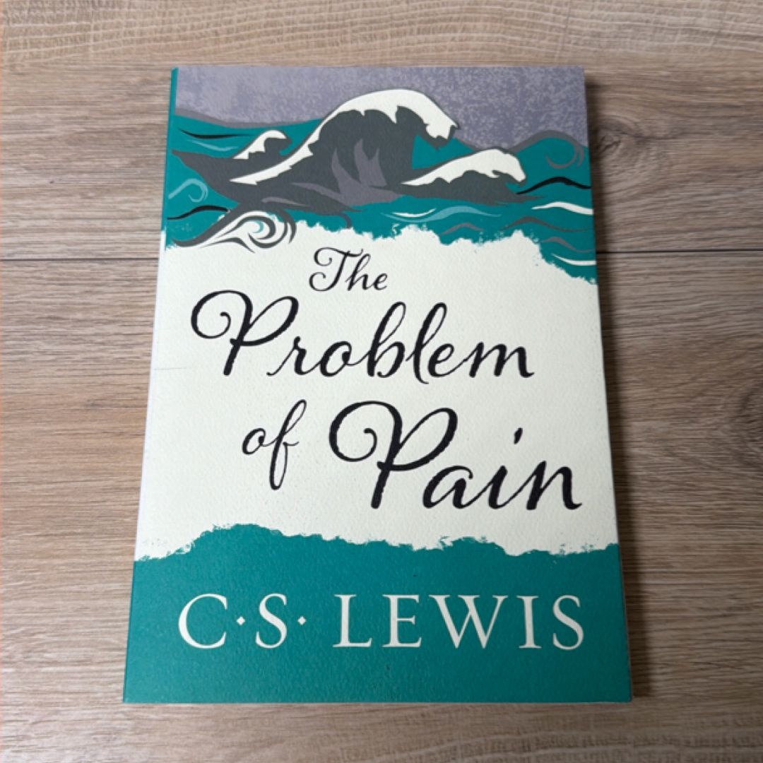 The Problem of Pain