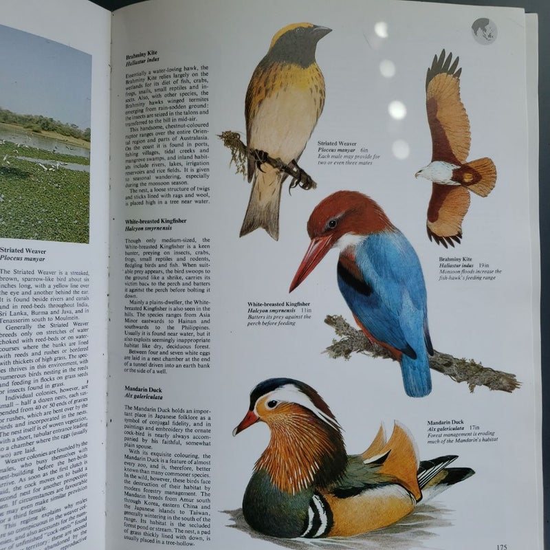 World Atlas of Birds