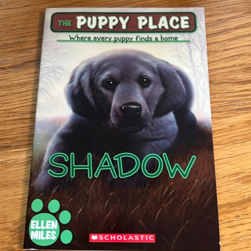 Shadow
