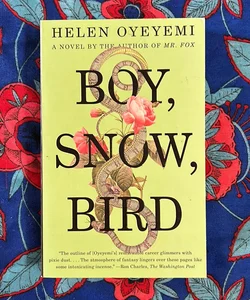 Boy, Snow, Bird