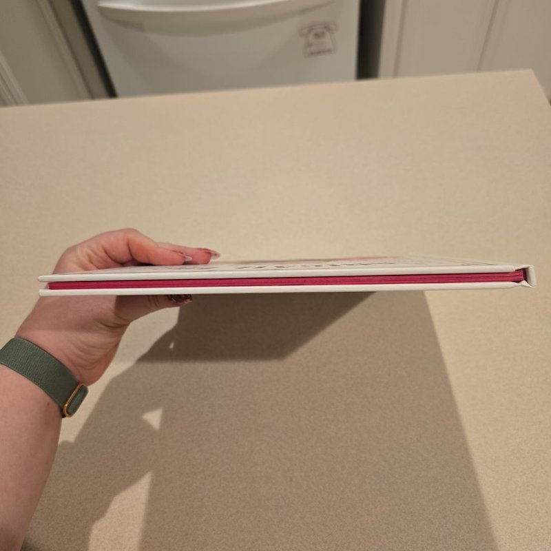 Abigail Fig: the Secret Agent Pig