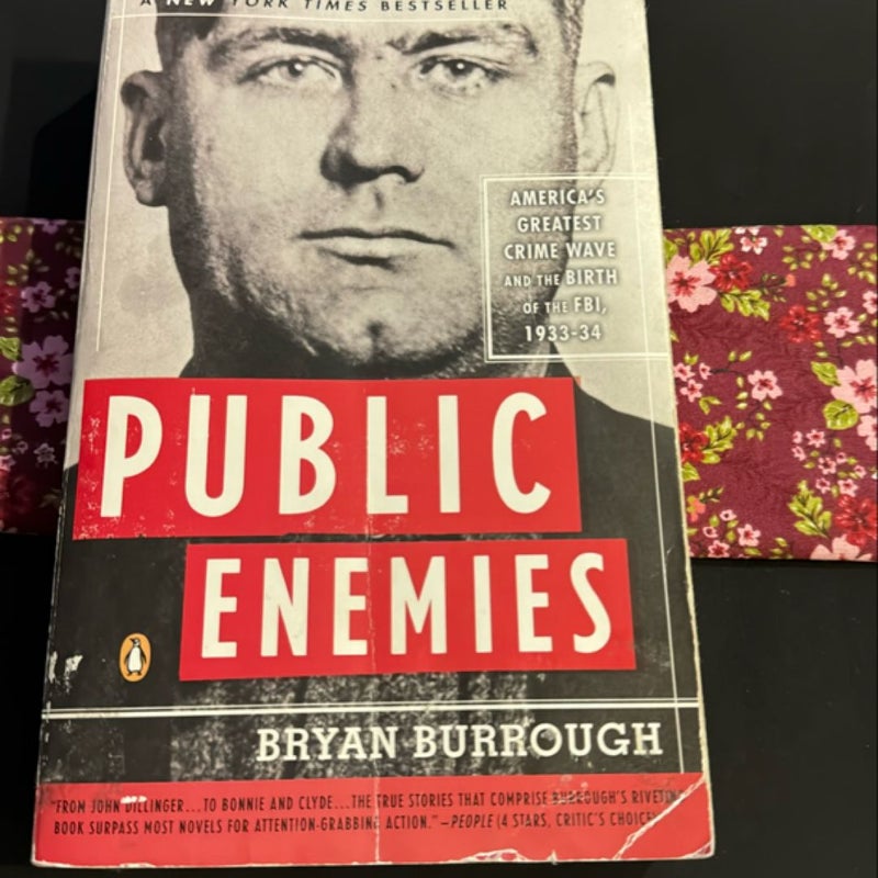 Public Enemies