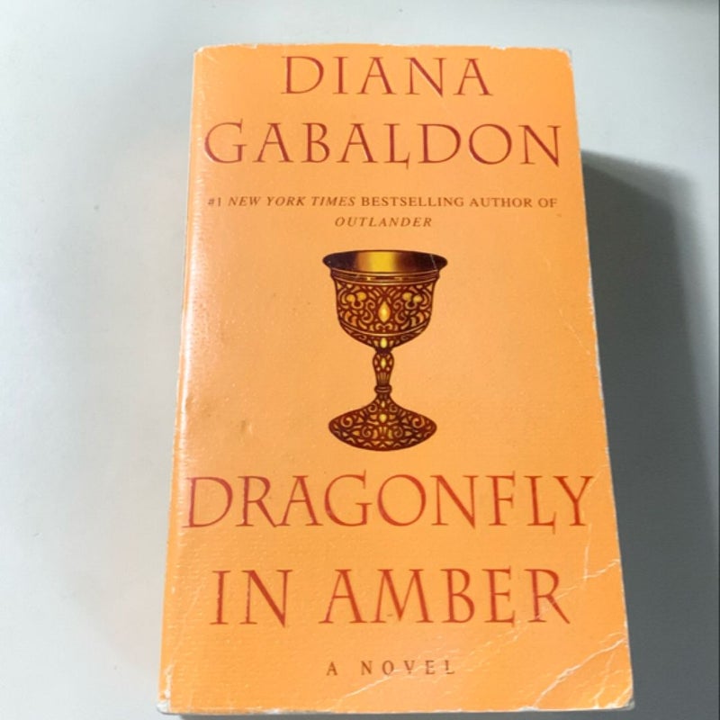 Dragonfly in Amber