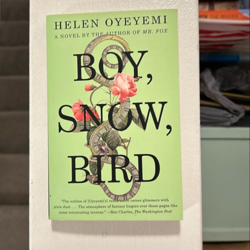 Boy, Snow, Bird