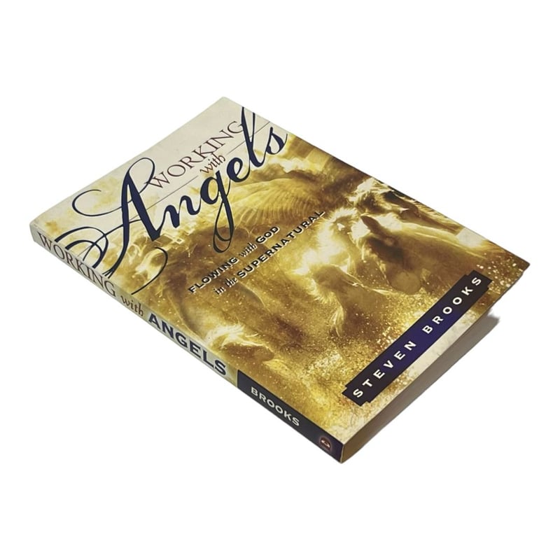 Working with Angels by Steven W. Brooks