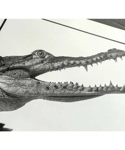 American Crocodile Endangered Spieces Book Art