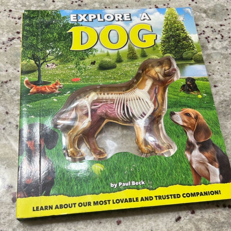 Explore a Dog
