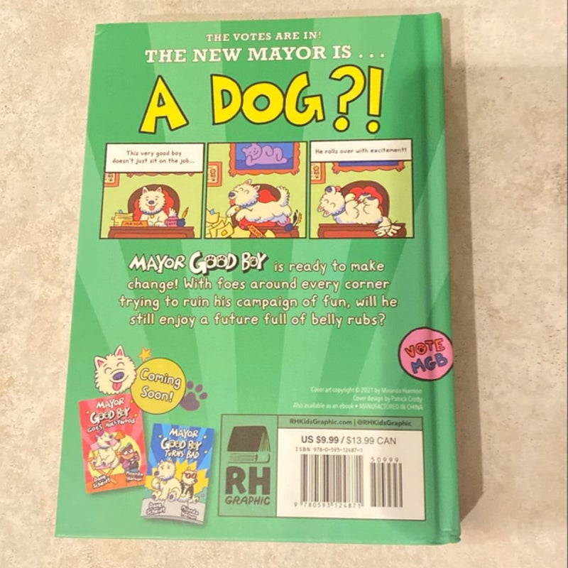 Mayor Good Boy