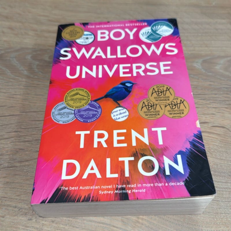 Boy Swallows Universe