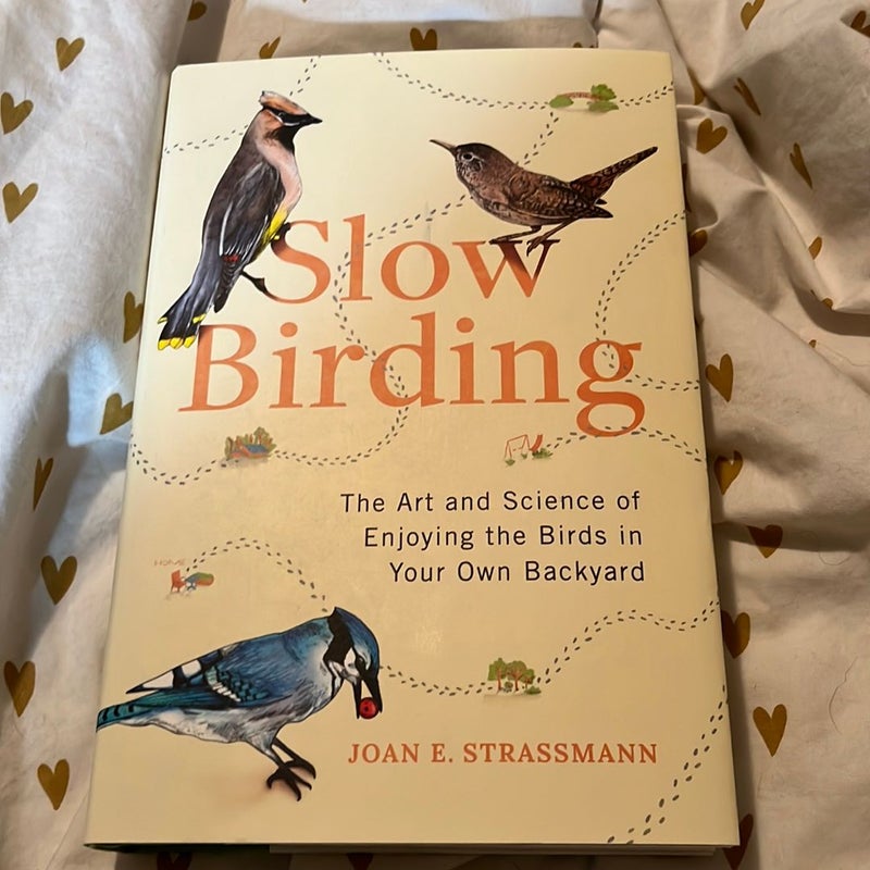 Slow Birding