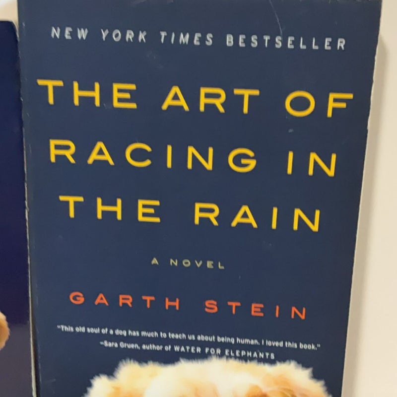 Garth Stein - Art of Racing in the Rain - Adult and Young Reader Pair of Books