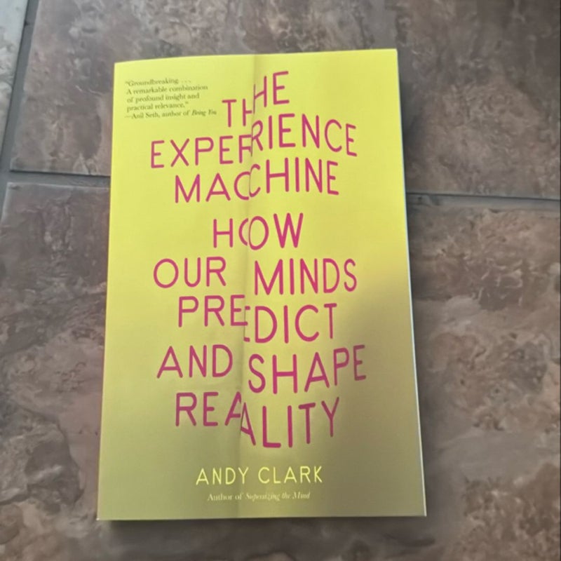 The Experience Machine