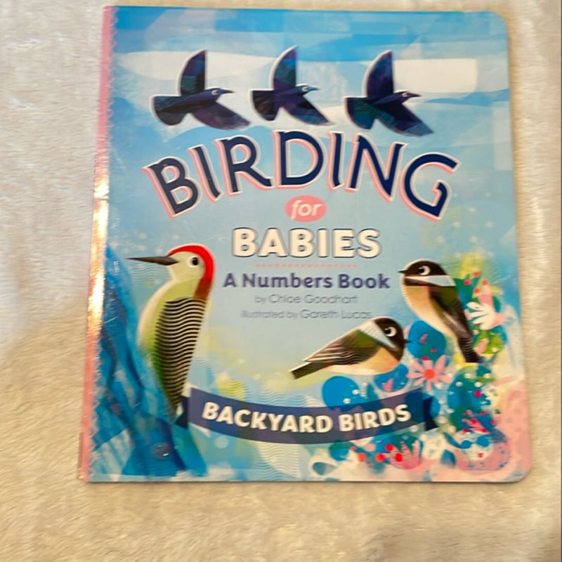 Birding for Babies 