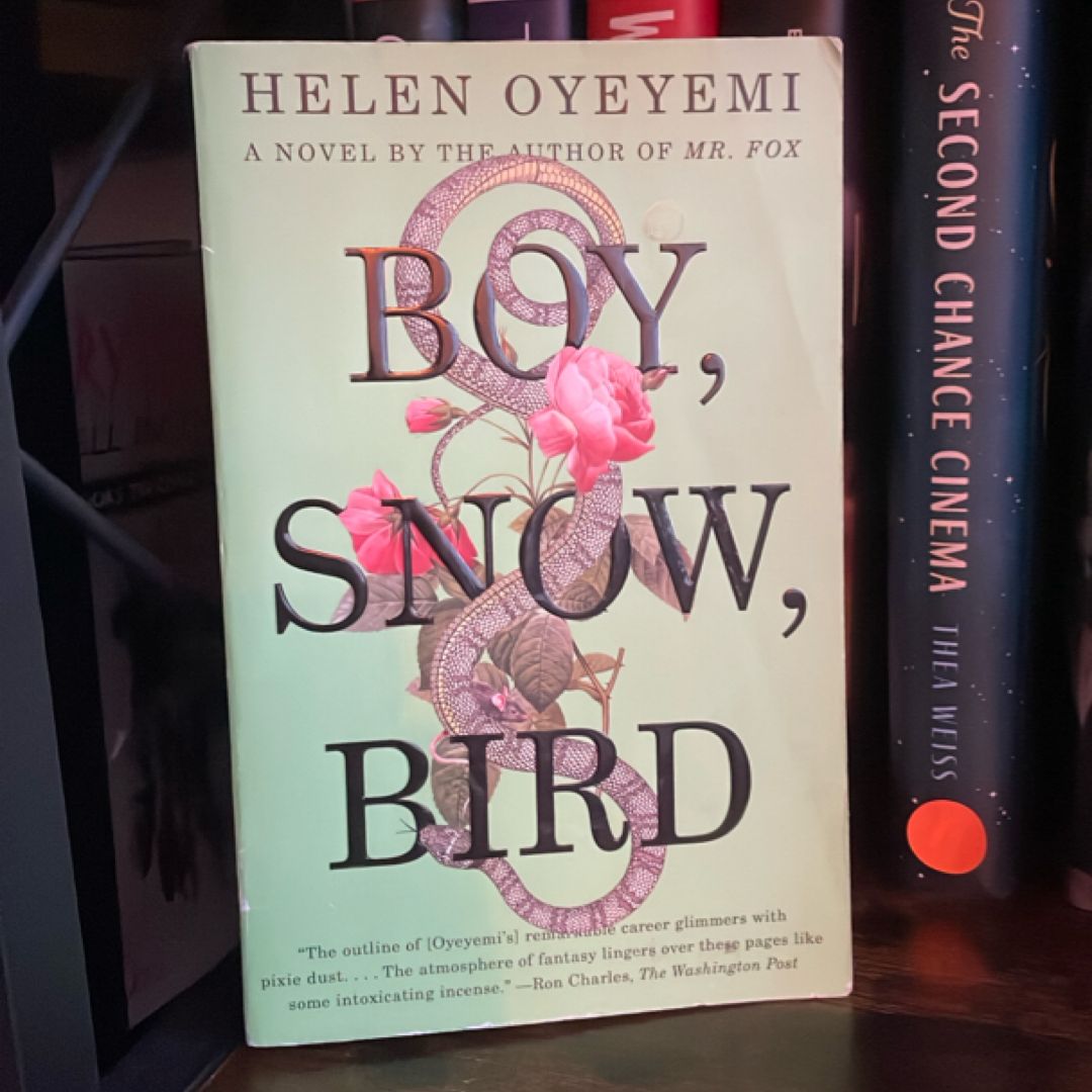 Boy, Snow, Bird