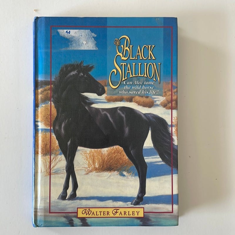 The Black Stallion