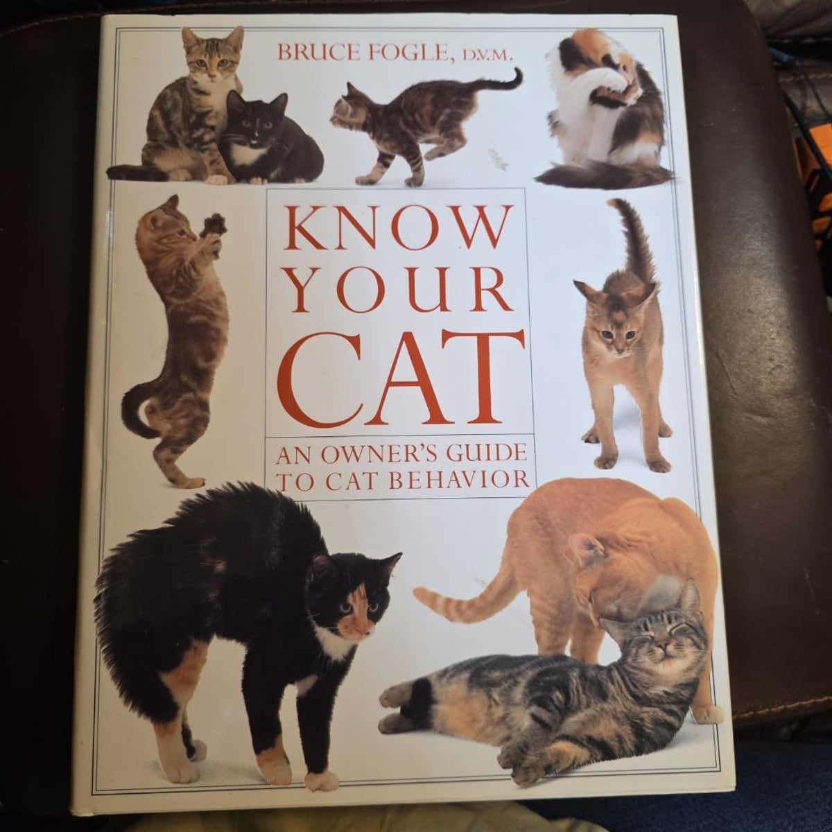 Know Your Cat by Bruce Fogle