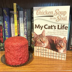 Chicken Soup for the Soul: My Cat's Life