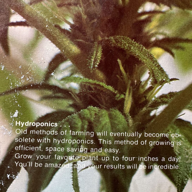 How to Grow Marijuana