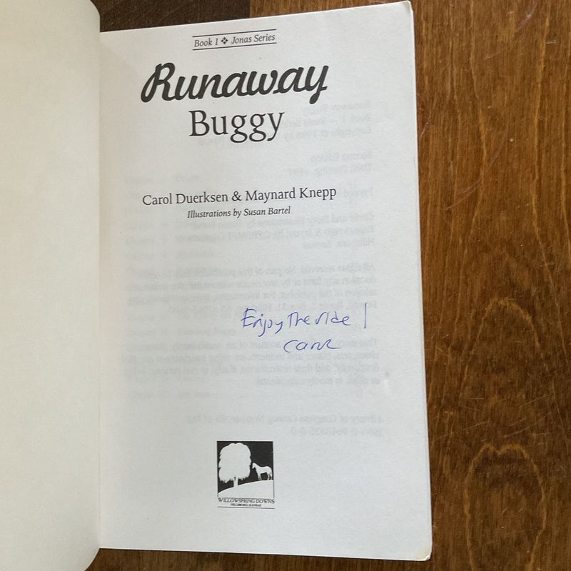 Runaway Buggy