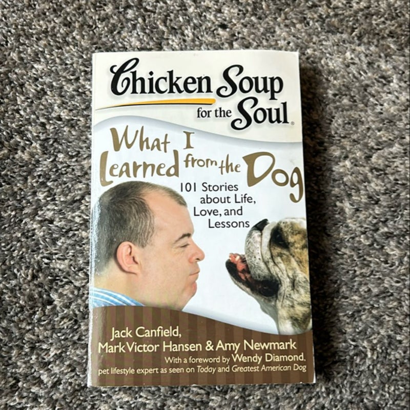 Chicken Soup for the Soul: What I Learned from the Dog