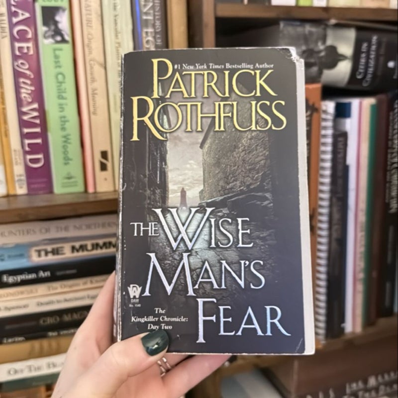 The Wise Man's Fear