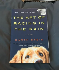 The Art of Racing in the Rain