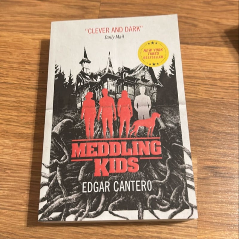 Meddling Kids (UK paperback)