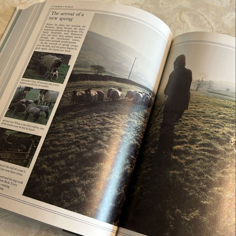 The Best of James Herriot