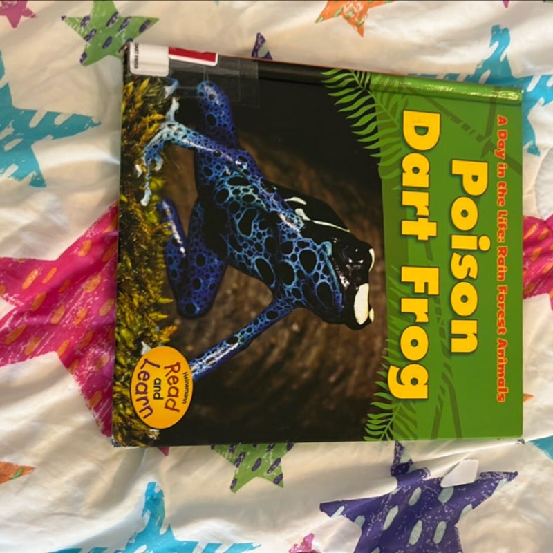 Poison Dart Frog