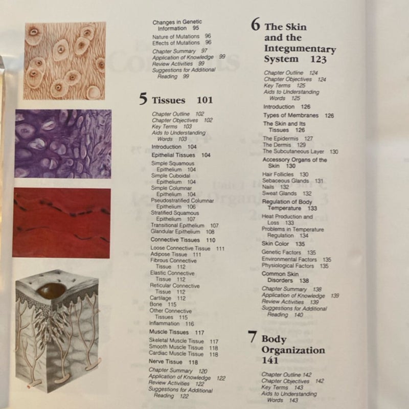 Human Anatomy and Physiology