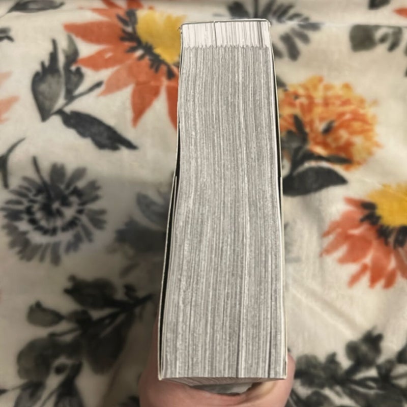 Vagabond (VIZBIG Edition), Vol. 9