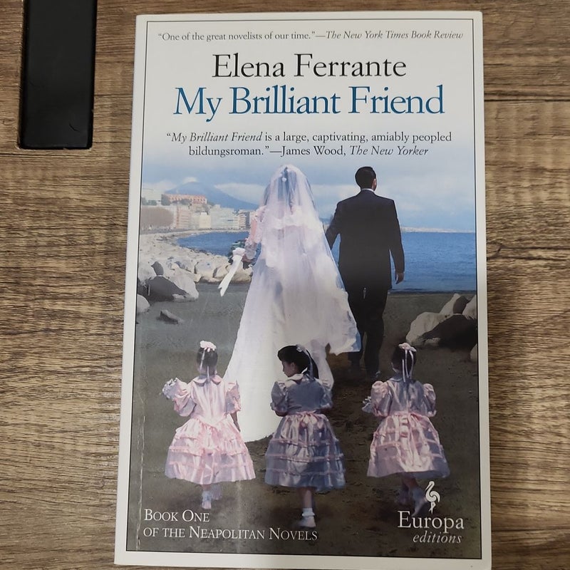 My Brilliant Friend