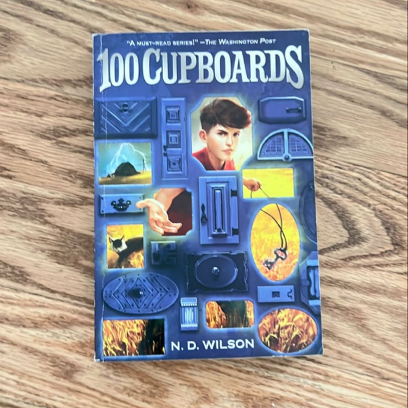 100 Cupboards (100 Cupboards Book 1)