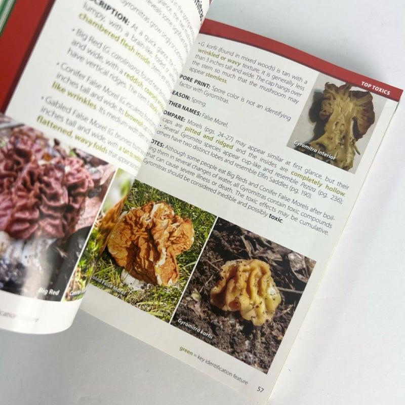 Mushrooms of the Upper Midwest