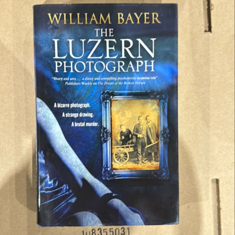 The Luzern Photograph