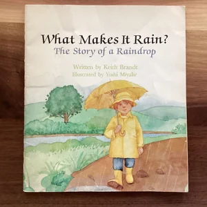What Makes It Rain?