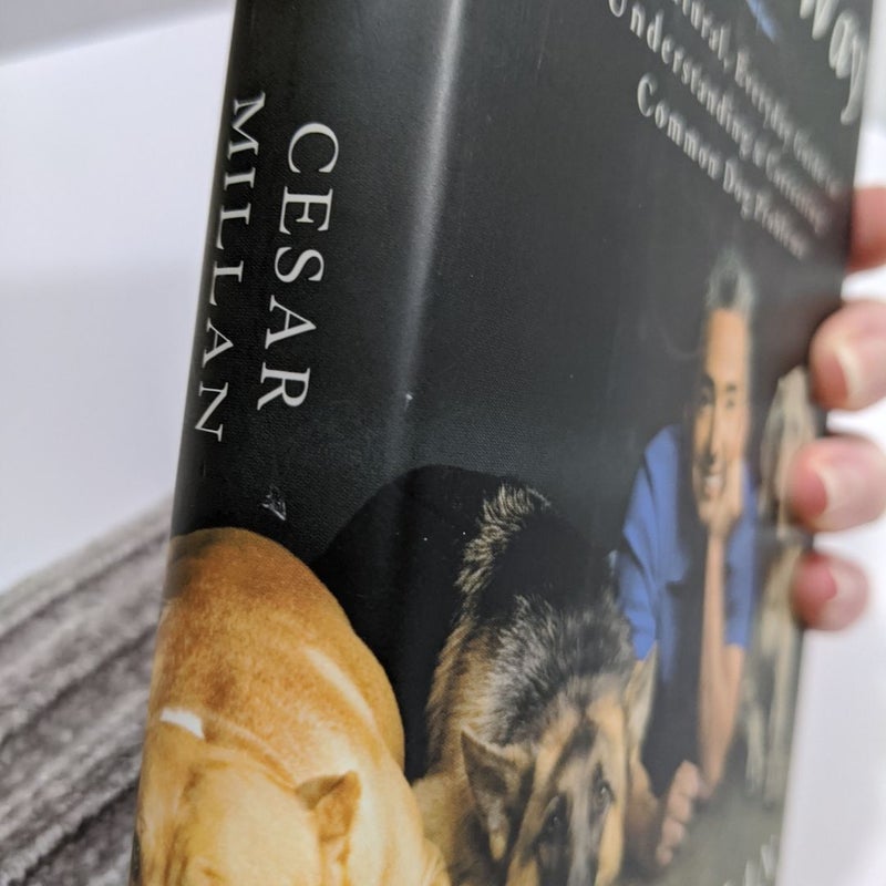 Cesar's Way
