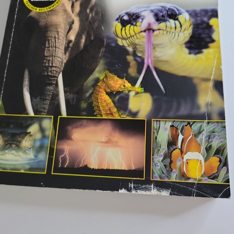 Awesome! Reader, Ages 3 - 6